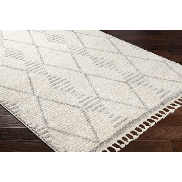 Valencia VLC-2318 Area Rug , With Fringe